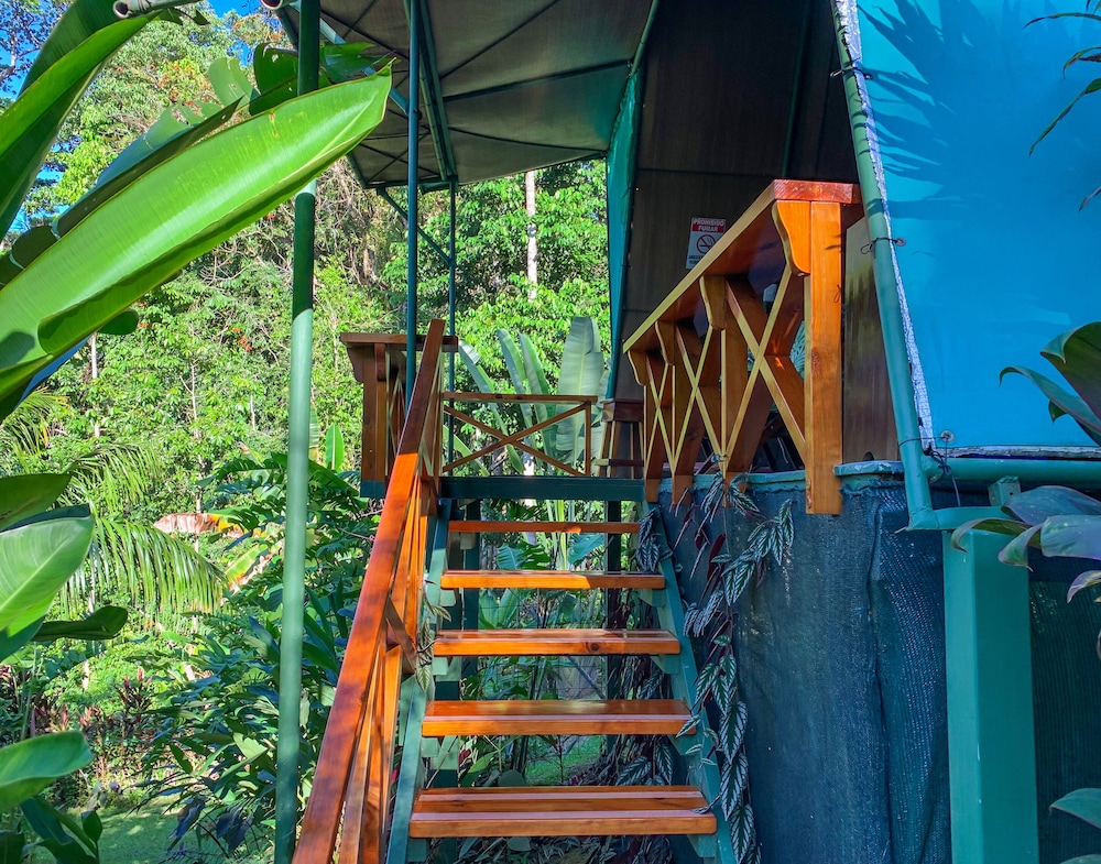 Hotel Las Caletas Lodge 41/50