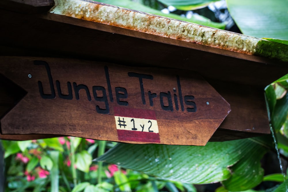 Omega Tours Adventure Company And Eco Jungle Lodge 1/50