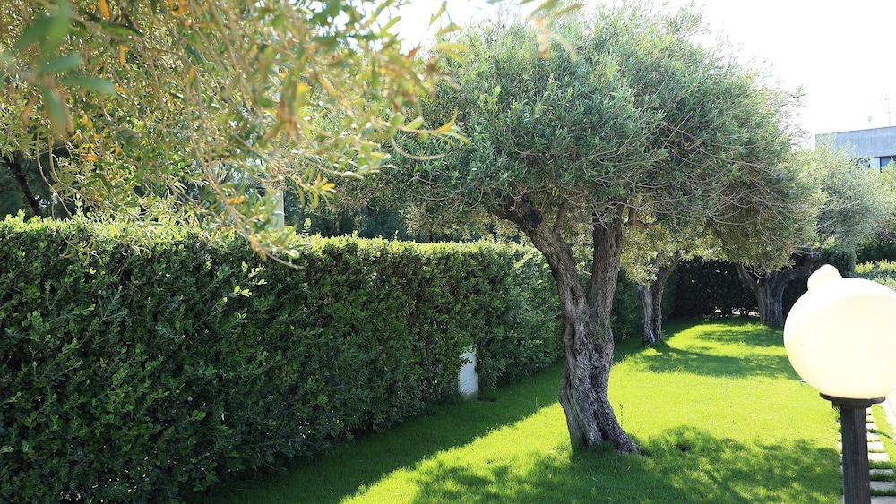 NETTUNO RESORT 31/41