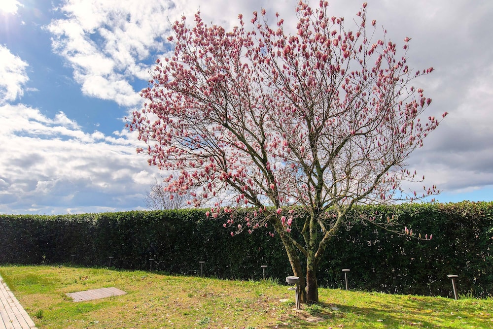 Villa Cassia di Baccano 30/50