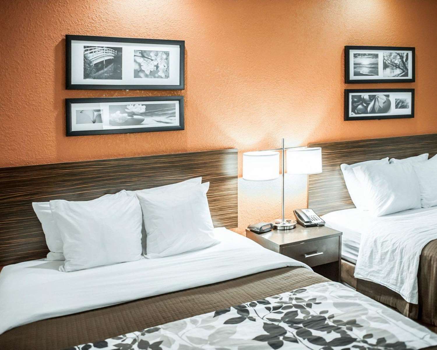 غرفة بسريرين كوين، Sleep Inn O'Fallon near I-64 2/3