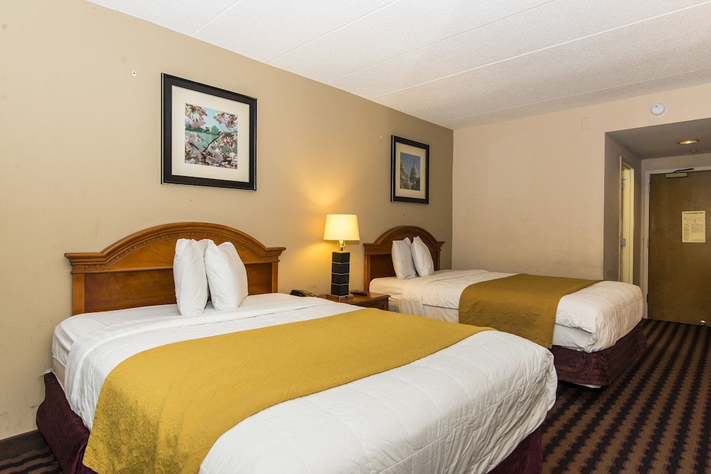 Garden Inn 18/26