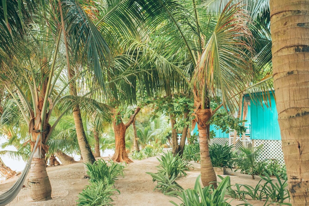 Ranguana Caye Cabanas 36/50