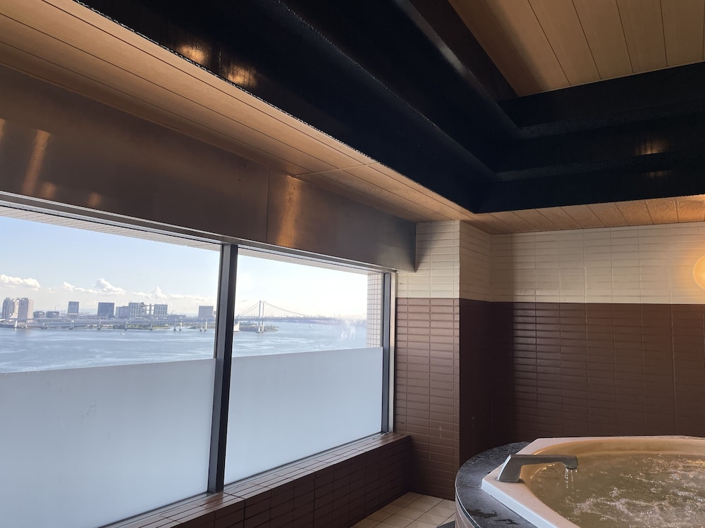 Bayside Hotel Azur Takeshiba 17/43