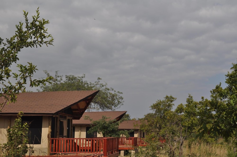 Balloon Camp Tarangire 5/31
