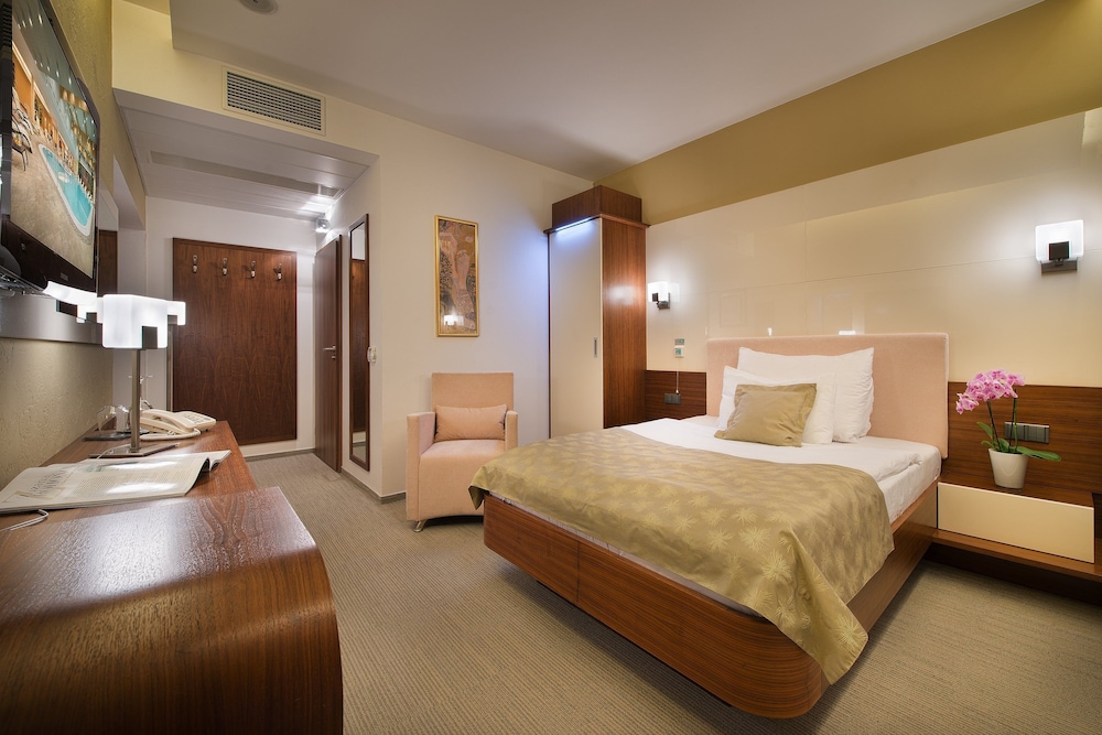 Wellness Hotel Diamant (ex Relaxacni A Regeneracni Centrum) 11/50