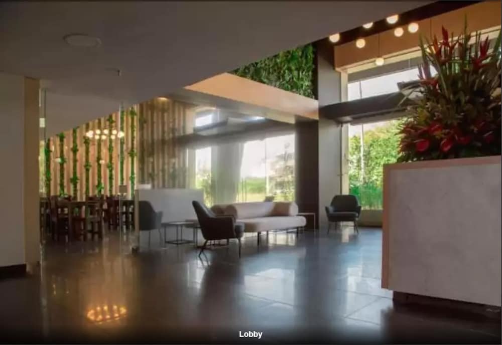 Hotel Plaza del Lili 12/60