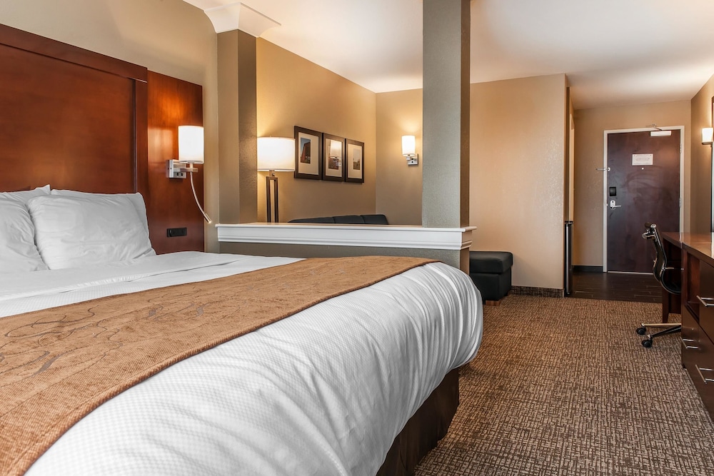 Comfort Suites Rensselaer Near Fair Oaks 12/42