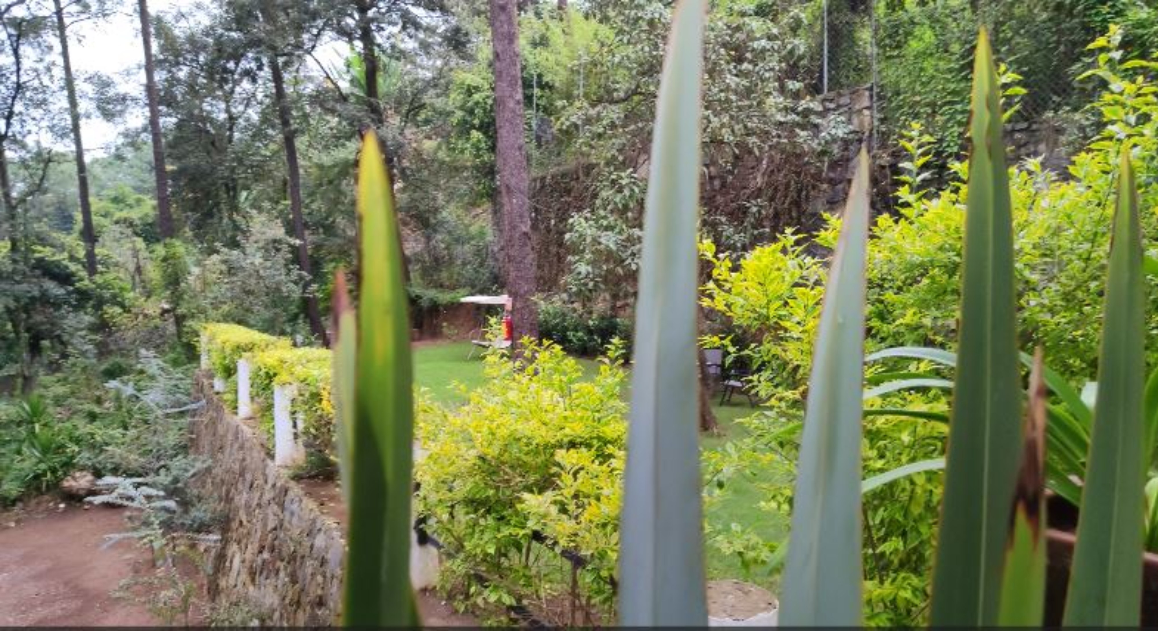 Encino House 44/50