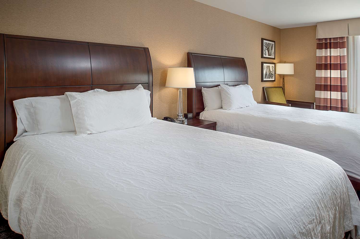 Room at HILTON GARDEN INN SAINT LOUIS AIRPORT, BERKELEY - MO