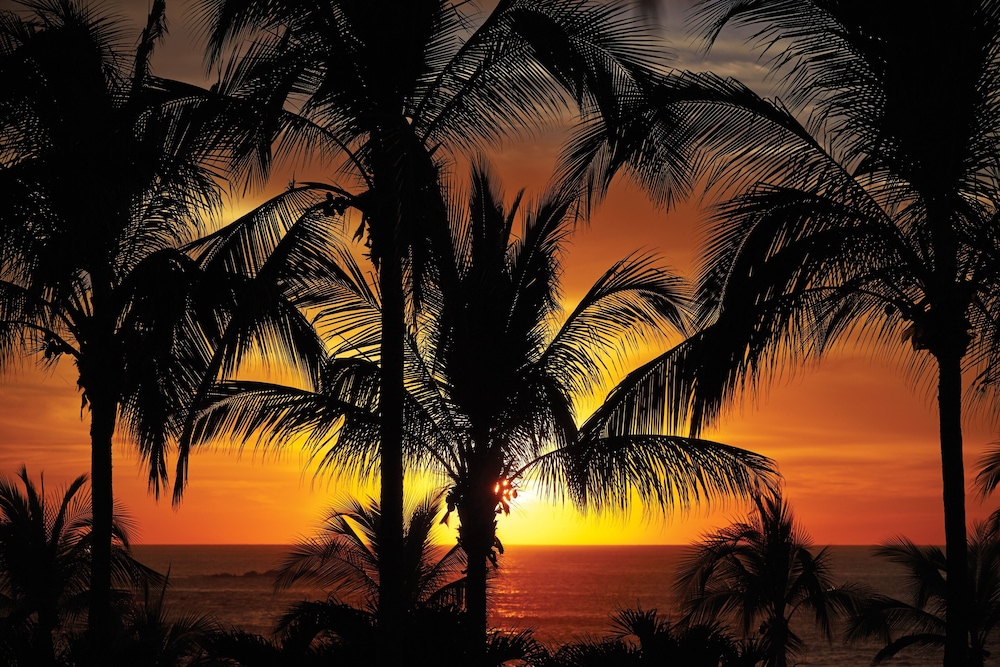 Four Seasons Resort Punta Mita, Mexico 33/85
