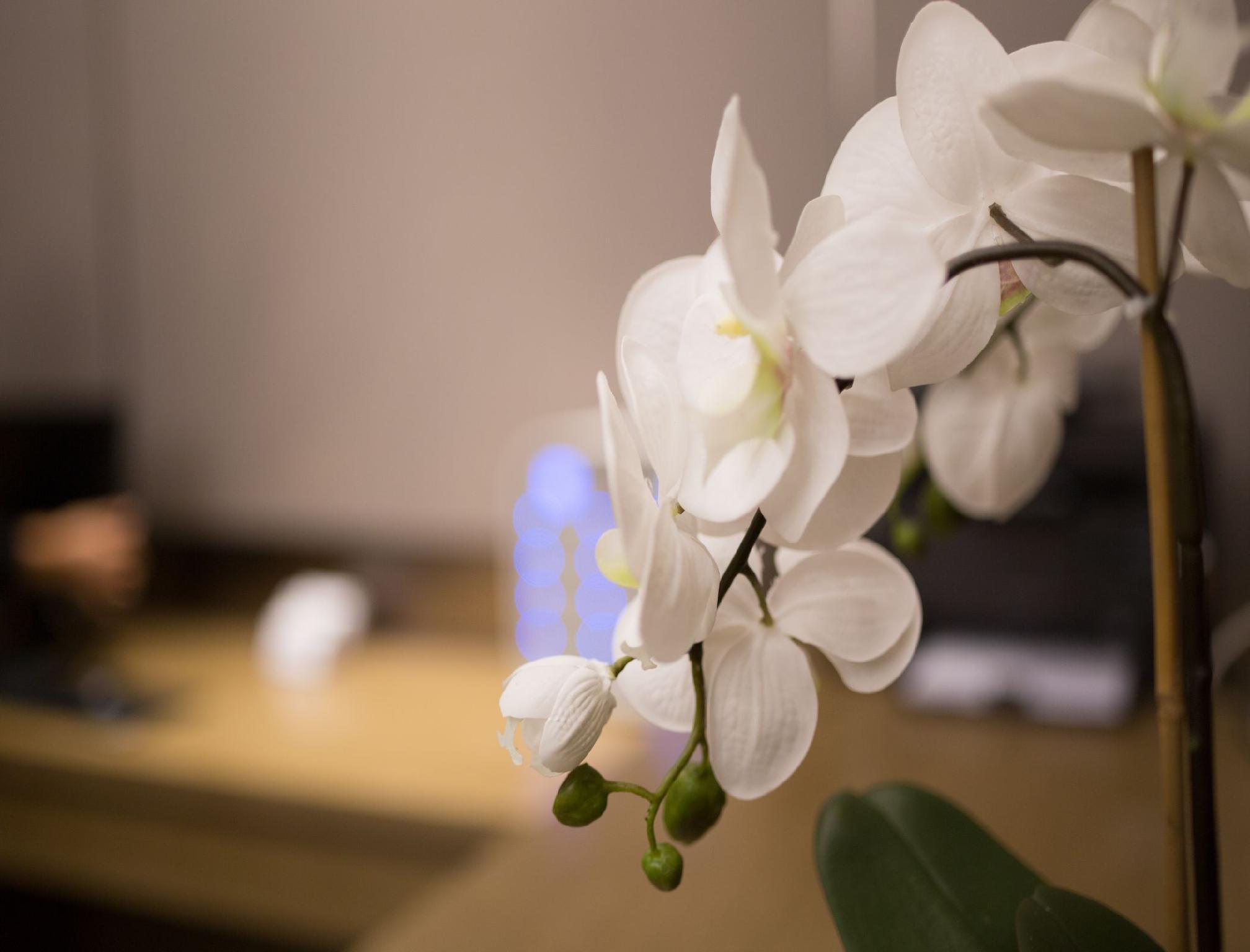 Xiamen Zenith Hotel 26/49