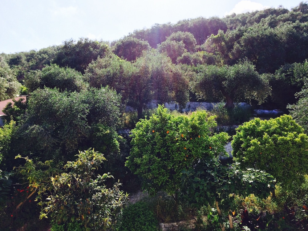 Avra Paradise Aparthotel 36/50