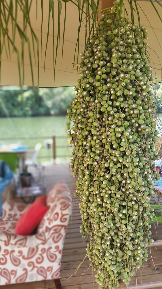 Bambuu Lakeside Lodge 29/50