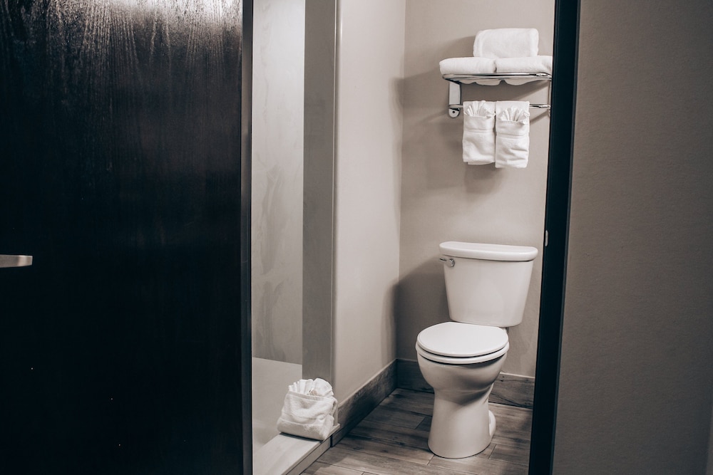 Holiday Inn Express Hotel And Suites Weatherford 39/41