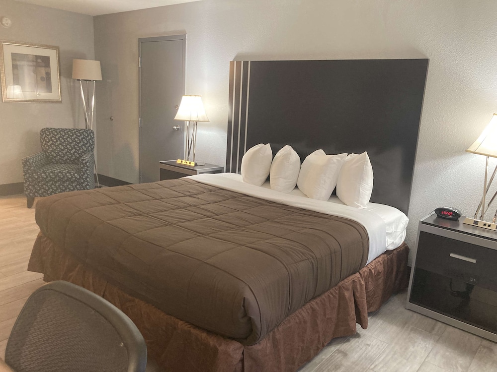 Standard, King Bed, Pet Friendly