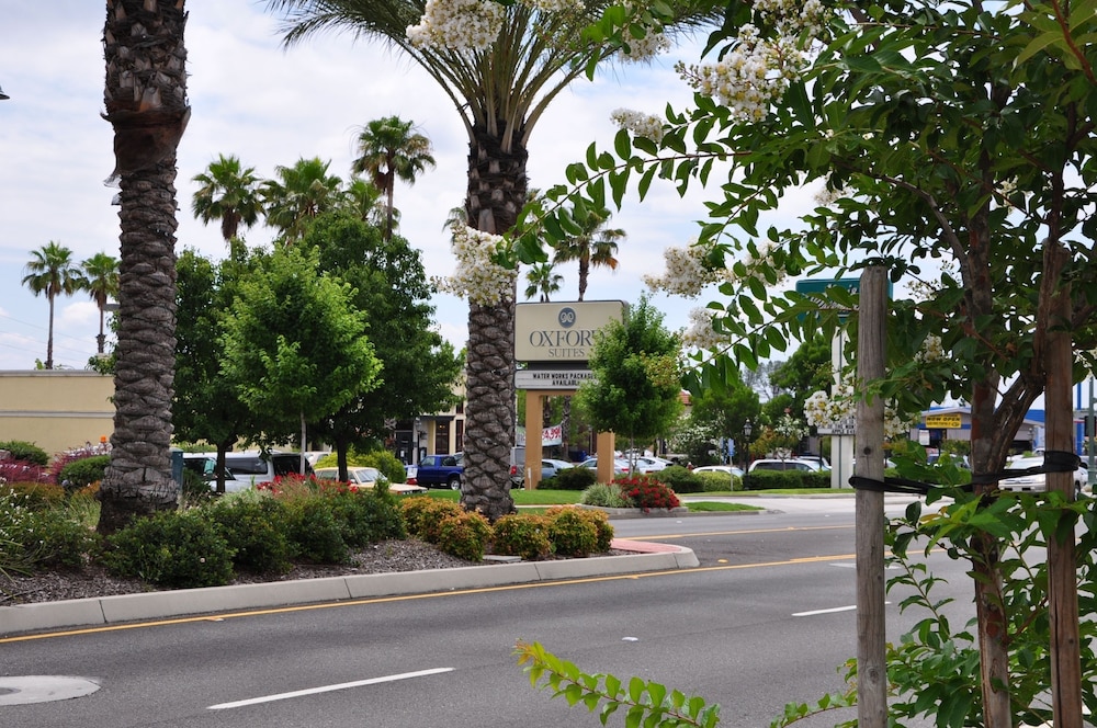 Oxford Suites Redding 1/64