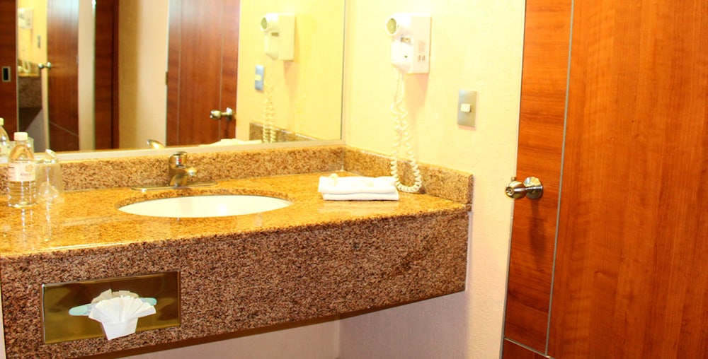 Hotel Soleil Business Class Celaya 7/49