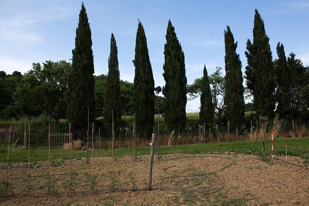 Agriturismo La Topaia 13/41