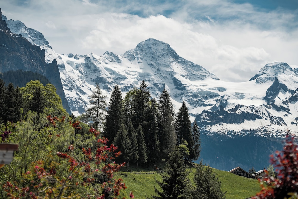 Alpine Hotel Wengen 54/59