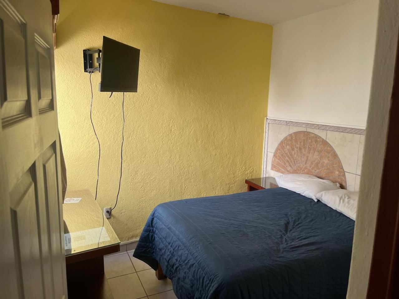 Hotel Albatros Palace 15/24