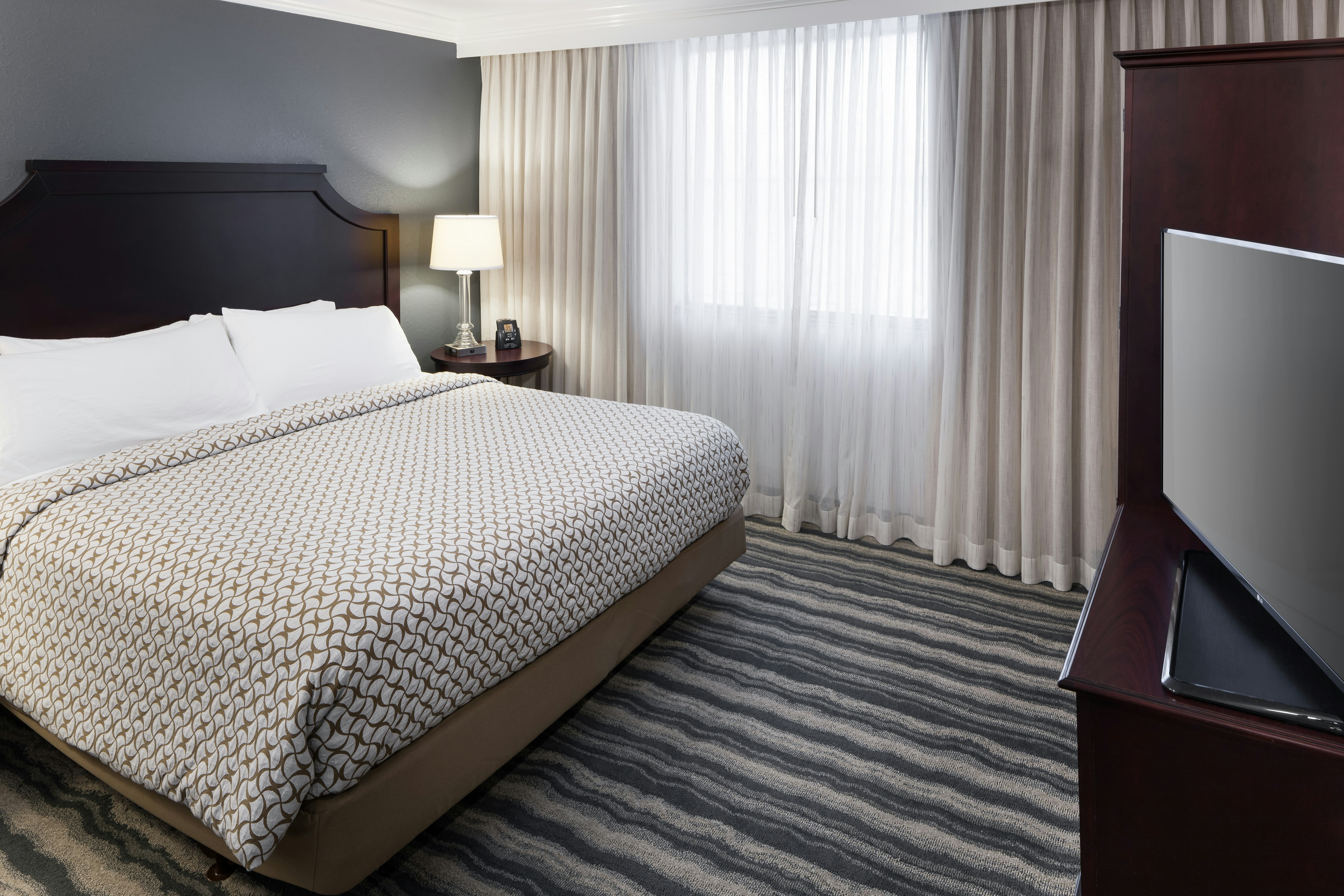 SUITE, KING BED, ACCESSIBLE