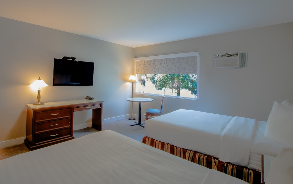 Standard, 2 Double Beds