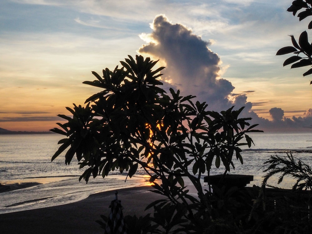 Villa L'orange Bali 37/50