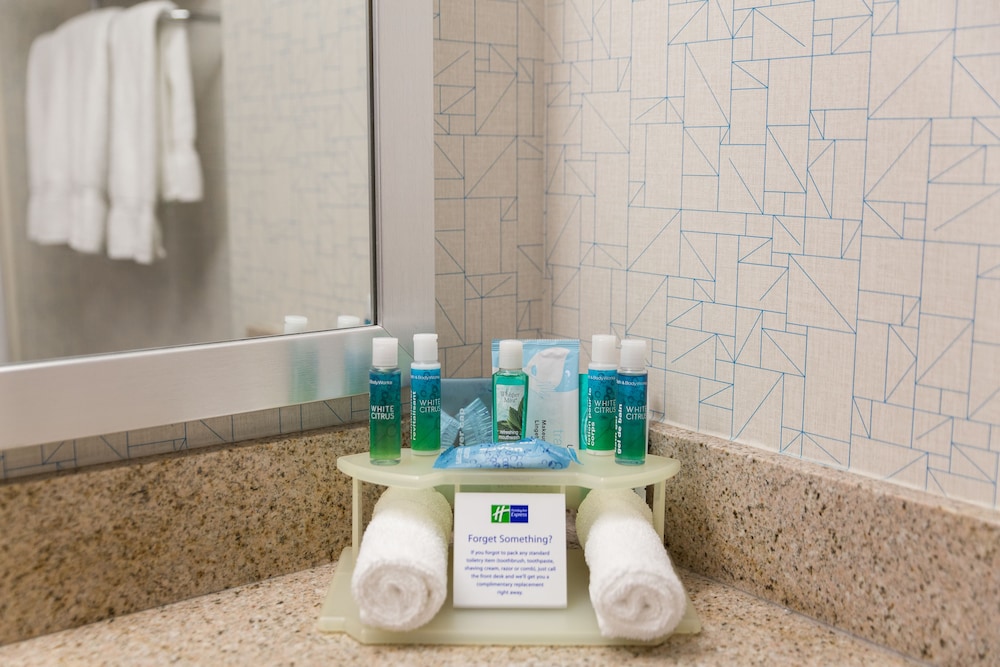 Holiday Inn Express Hotel And Suites Brampton 26/47