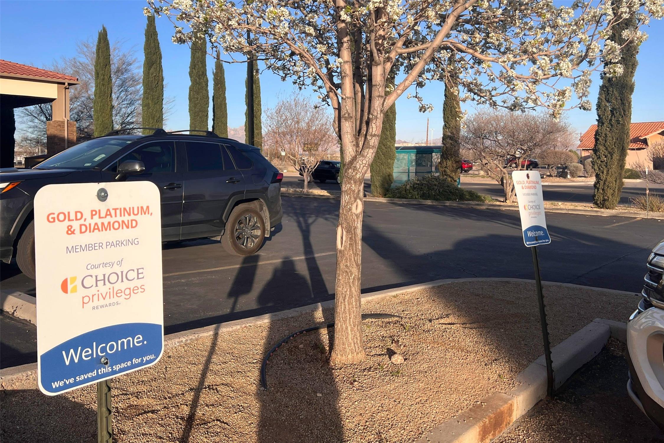 Comfort Inn & Suites Las Cruces Mesilla 21/54