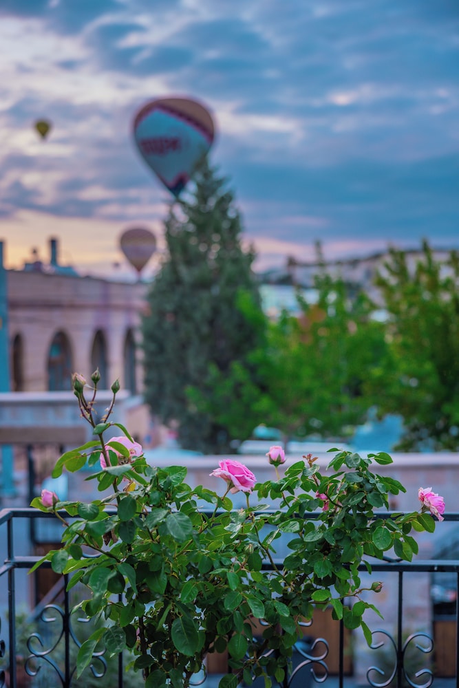 Cave Hotel Saksagan 42/48