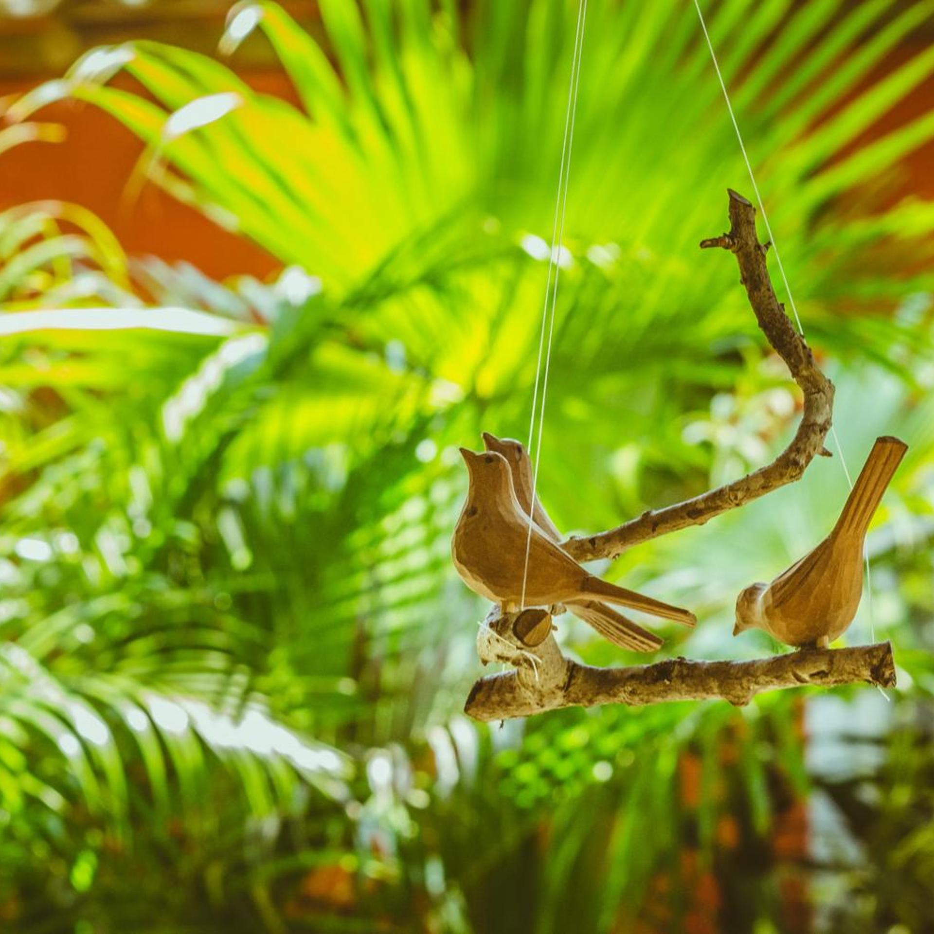 Jardim de Trancoso Pousada 45/50