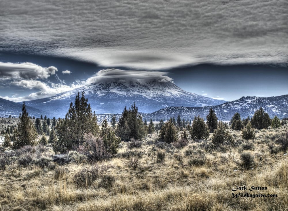 Inn at Mount Shasta 51/57