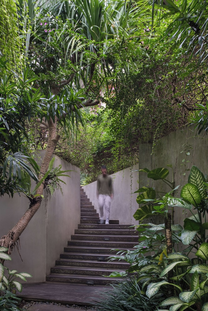 Rimbun Canggu Hotel 35/49