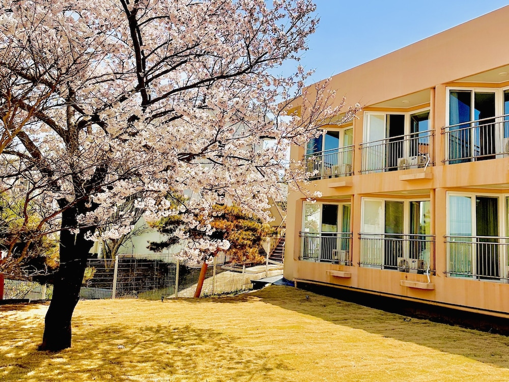 Hotel One Byeonsan 45/50