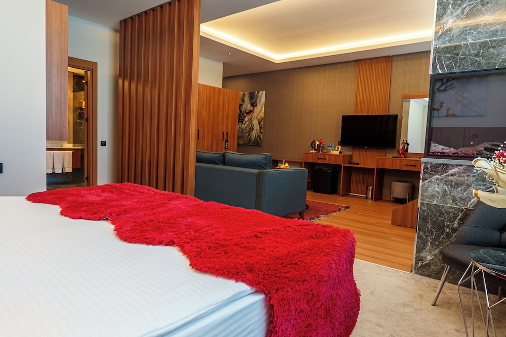 Library Hotel Erciyes 11/43