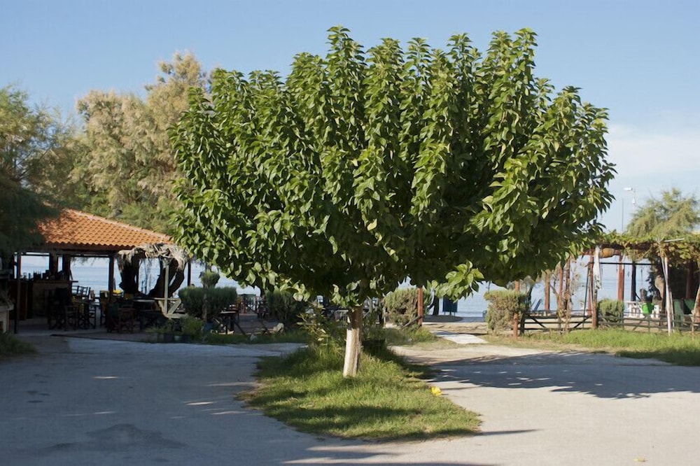 Anetis Beach Hotel 43/50