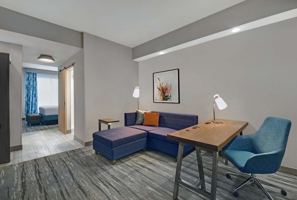 Hilton Garden Inn Houston Medical Center 37/57