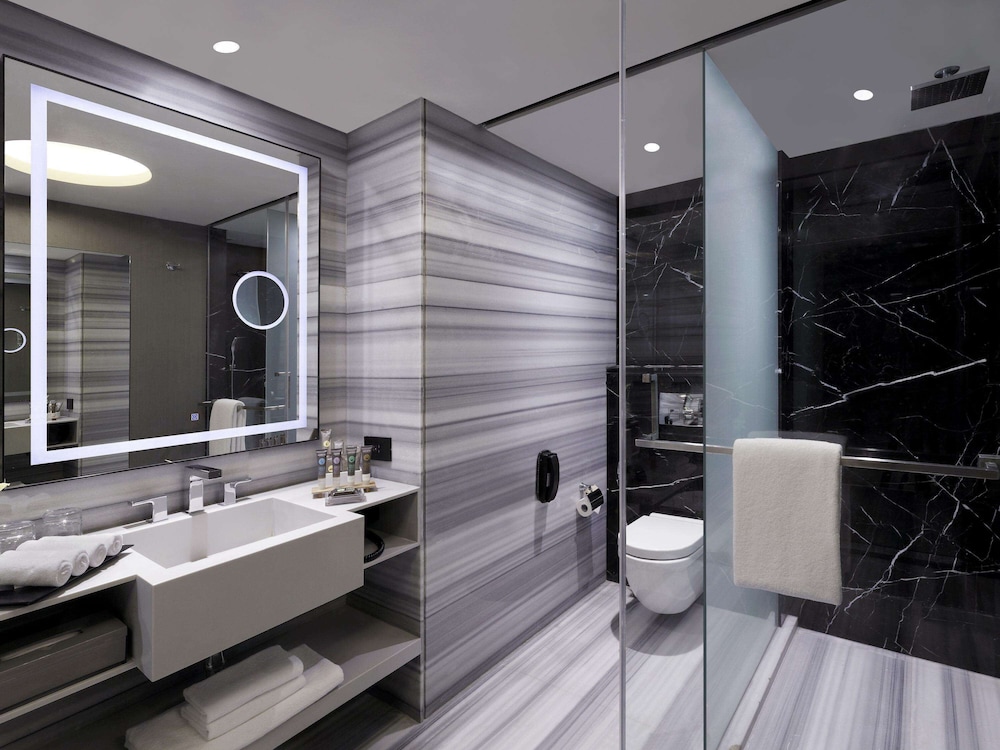 Novotel Chennai Chamiers Road 20/73