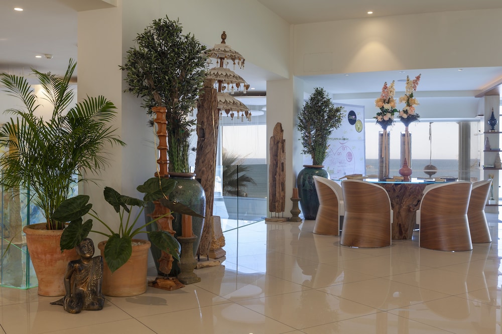 On Hotels Oceanfront Adults Designed 9/50