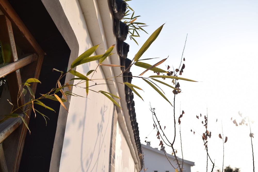 The Brigh Eco Hotel Yantai 51/56