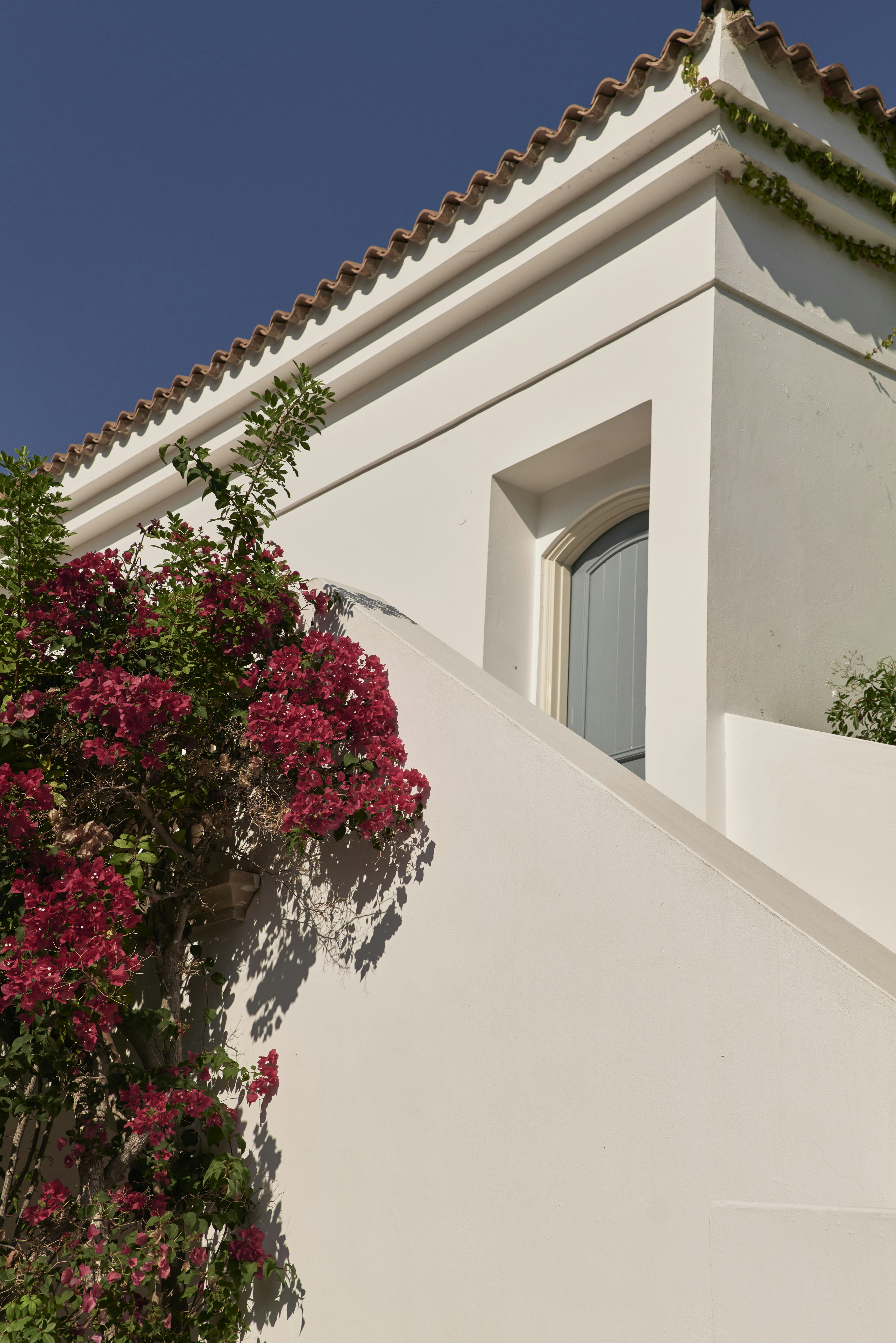 Anassa