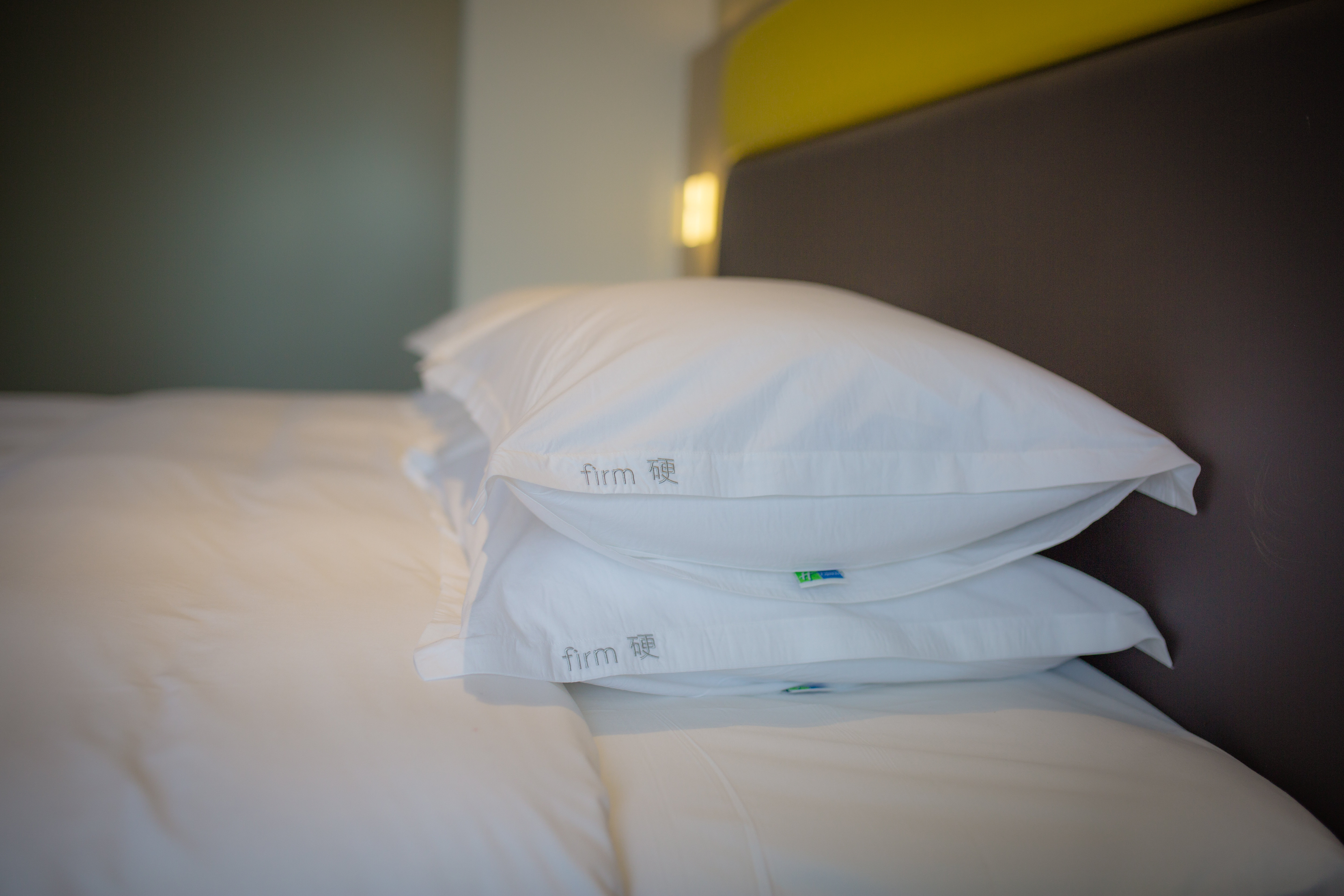 HOLIDAY INN EXPRESS EMEI MOUNTAIN 31/69