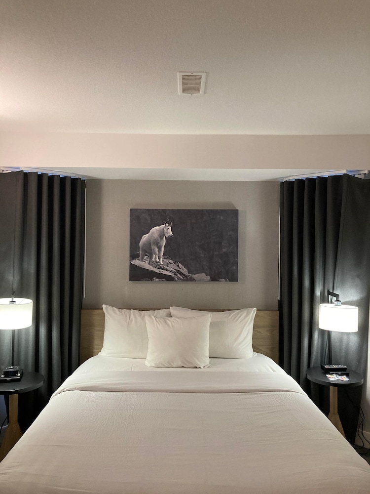 One Bedroom Condo