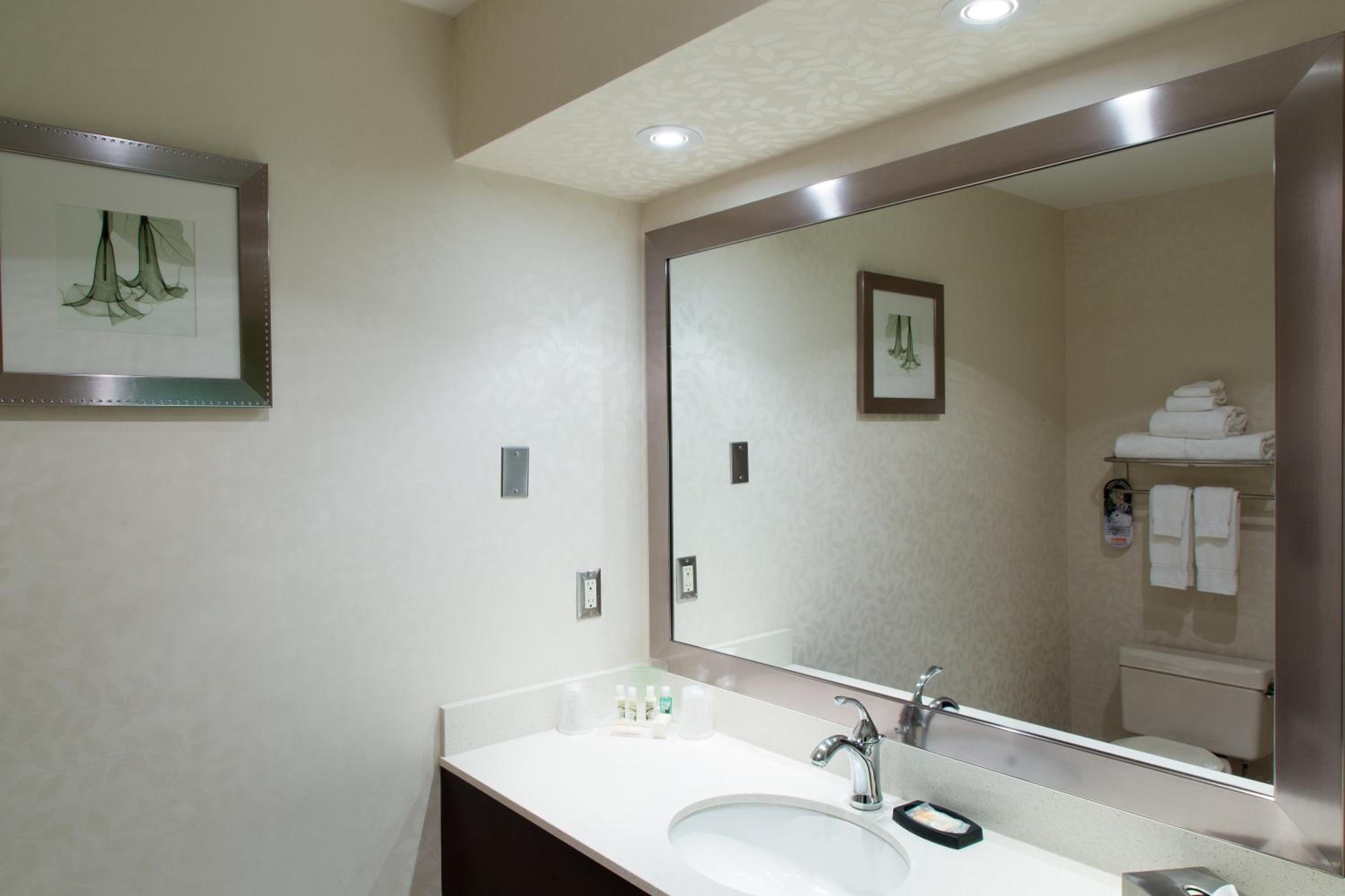 جناح بسرير كينج مع أريكة، Holiday Inn Suites Windsor Ambassador Bridge 10/10