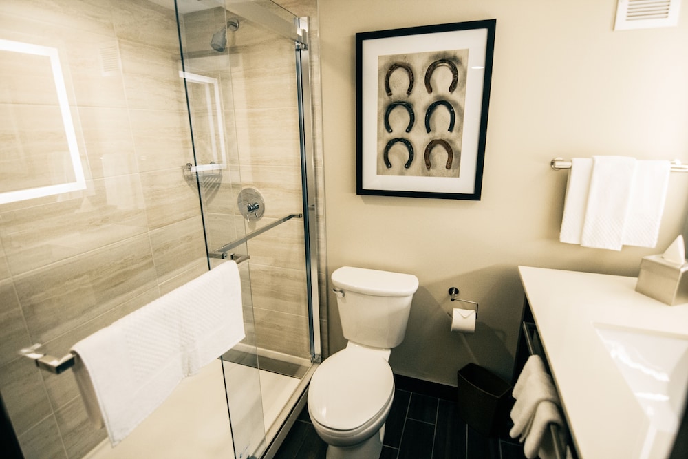Doubletree By Hilton Lubbock - University Area 17/77