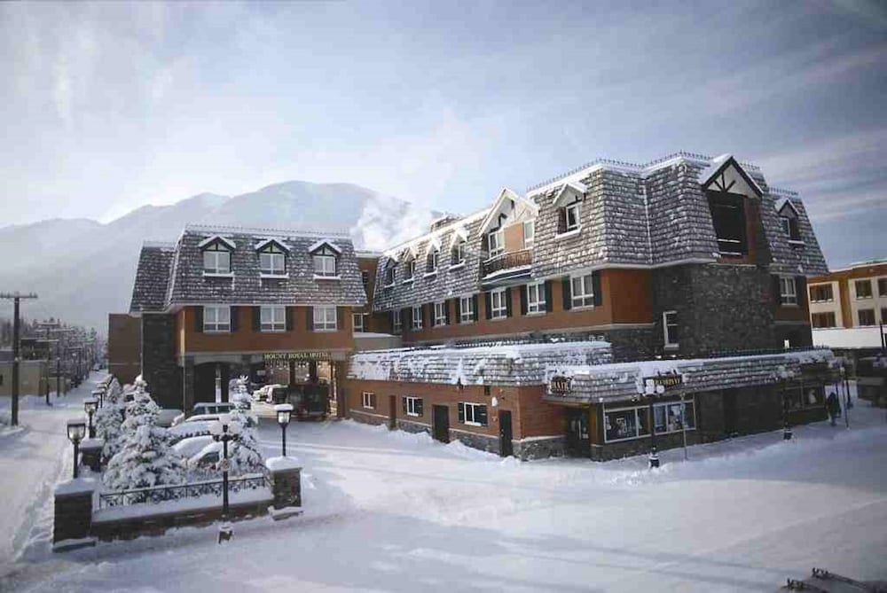 Mount Royal Hotel 50/50