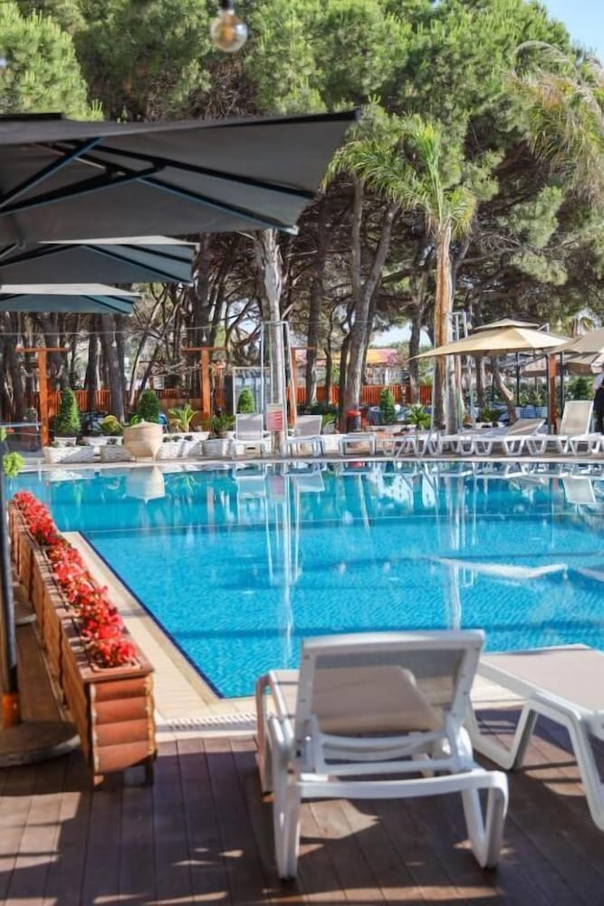 VM Resort 43/66