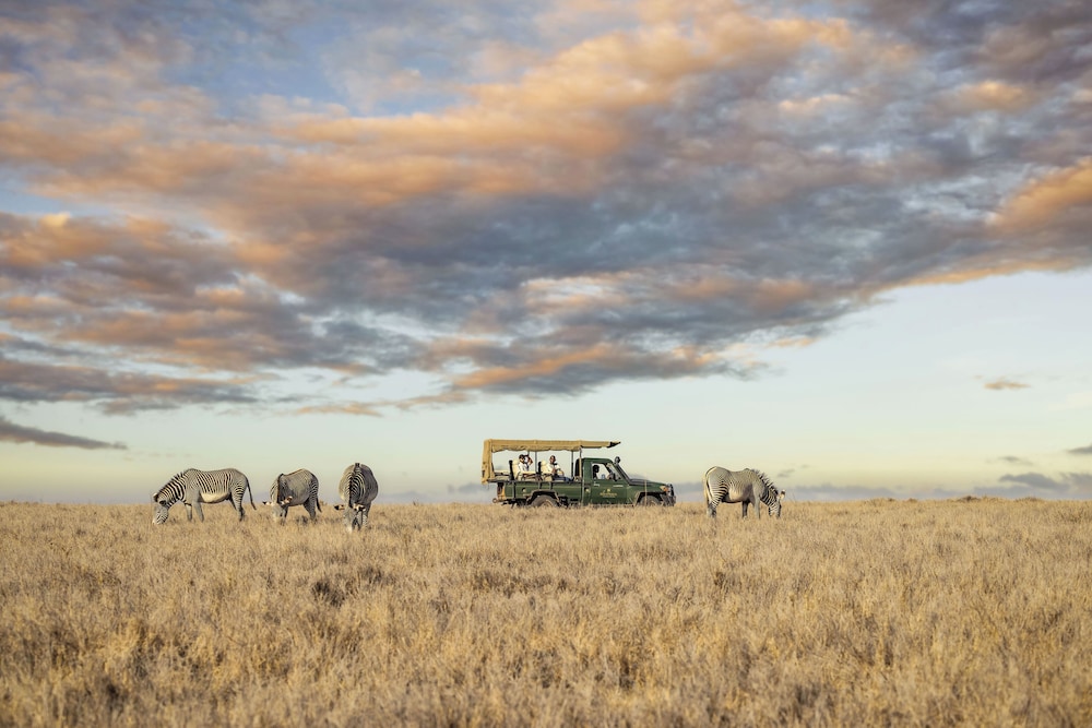 Lewa Safari Camp 33/50