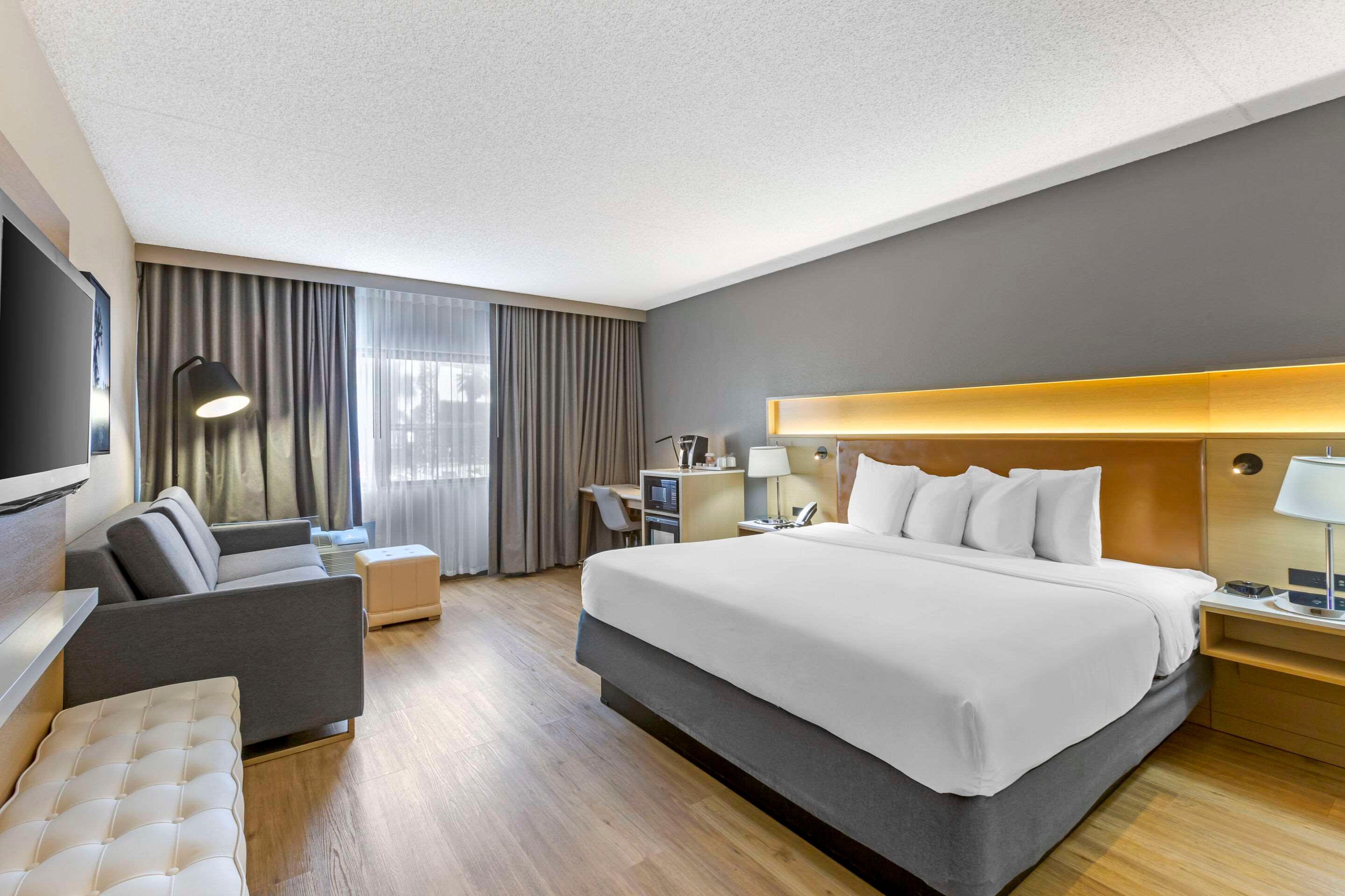 Studio, Suite, King Bed, Sofa